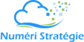 Numeri Strategie Logo